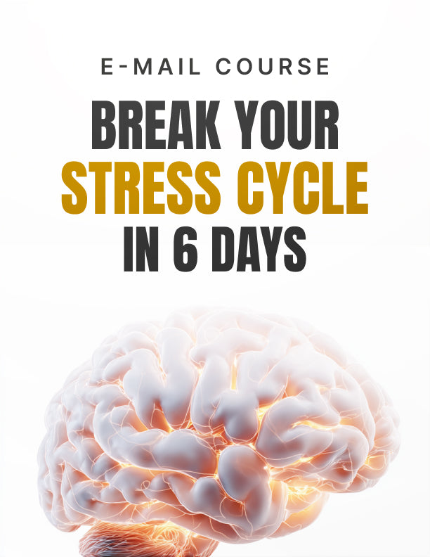 Break Your Stress Cycle In 6 Days